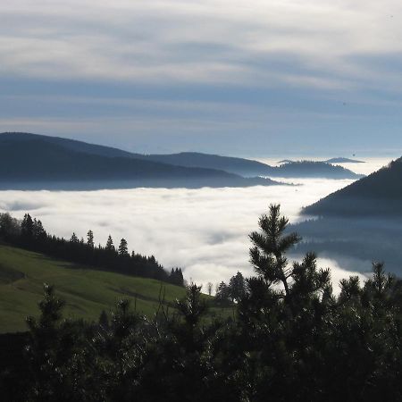 Schoene Aussicht Todtnau Eksteriør bilde