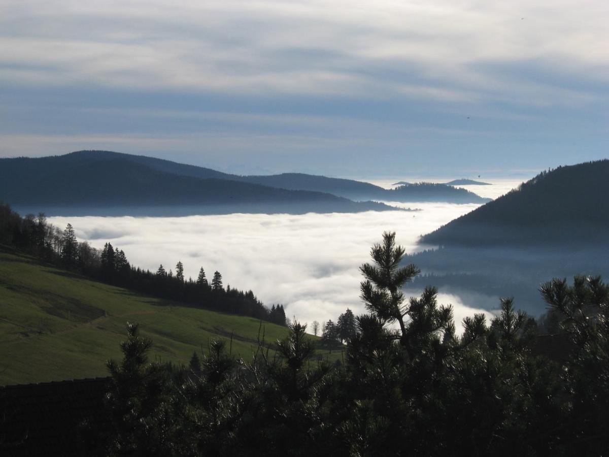 Schoene Aussicht Todtnau Eksteriør bilde