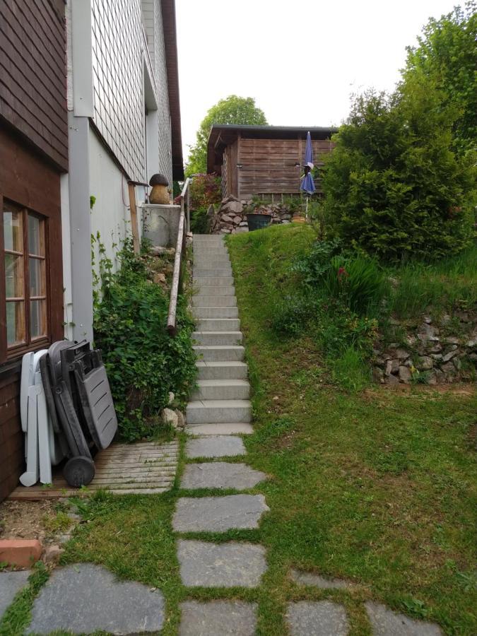 Schoene Aussicht Todtnau Eksteriør bilde