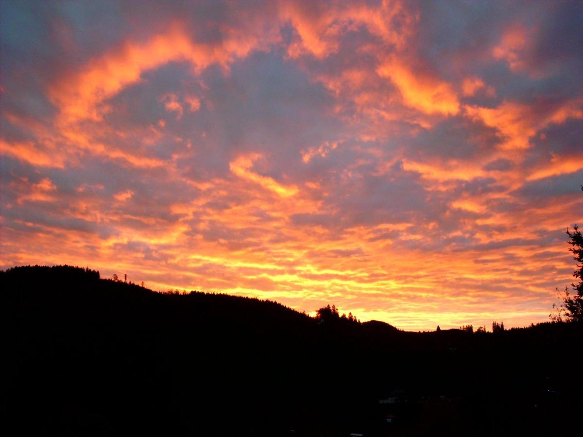 Schoene Aussicht Todtnau Eksteriør bilde