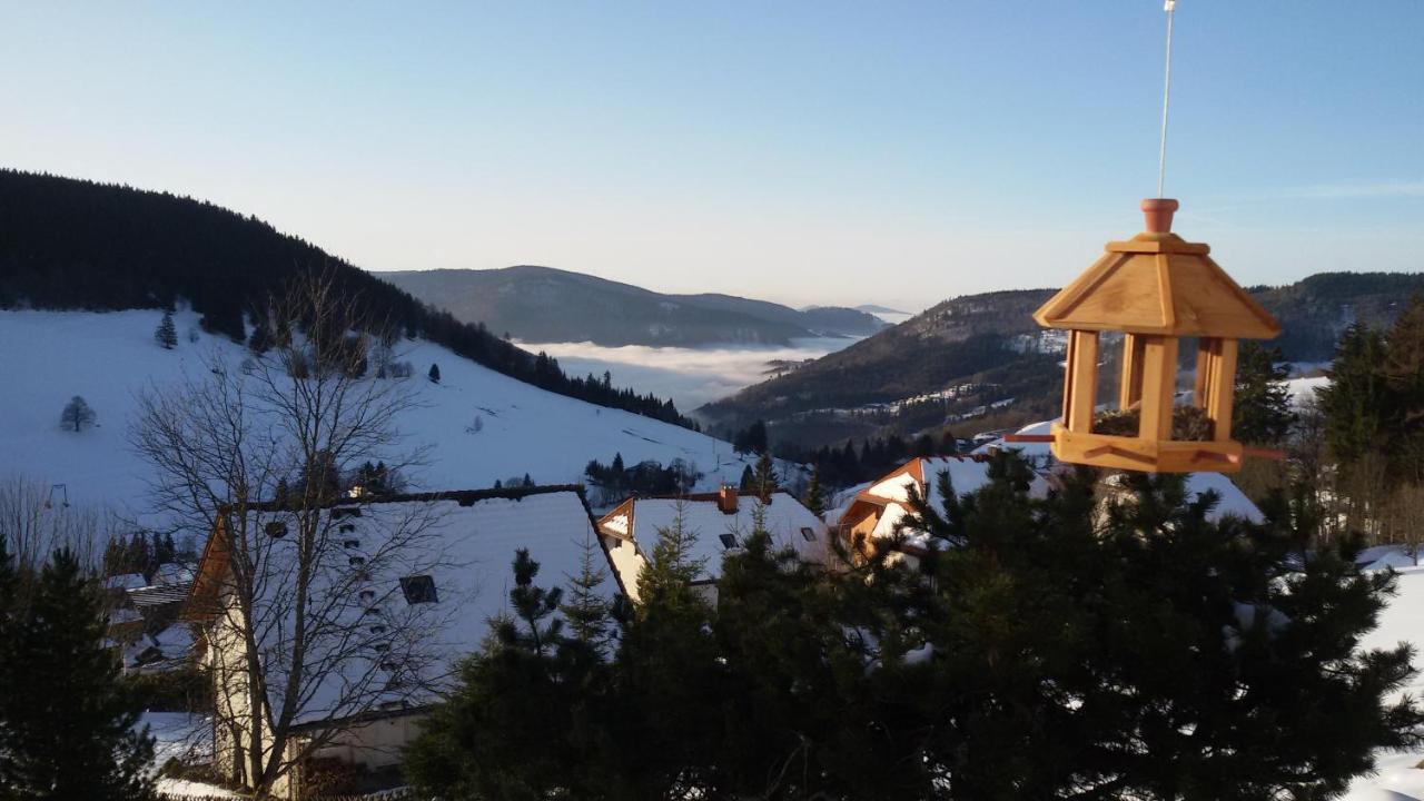 Schoene Aussicht Todtnau Eksteriør bilde