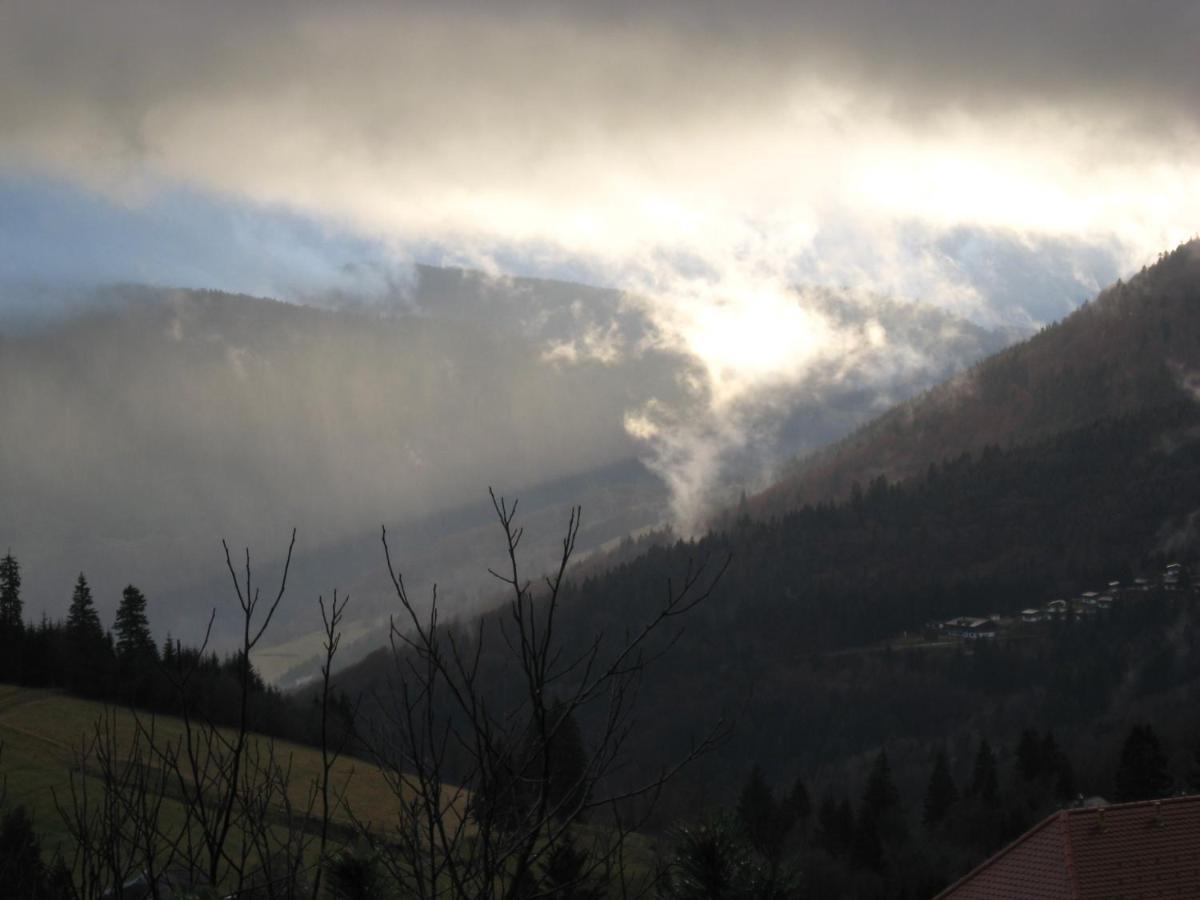 Schoene Aussicht Todtnau Eksteriør bilde