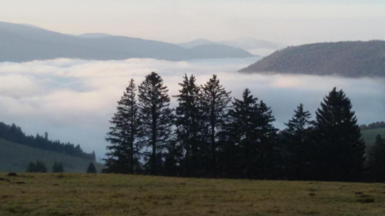 Schoene Aussicht Todtnau Eksteriør bilde