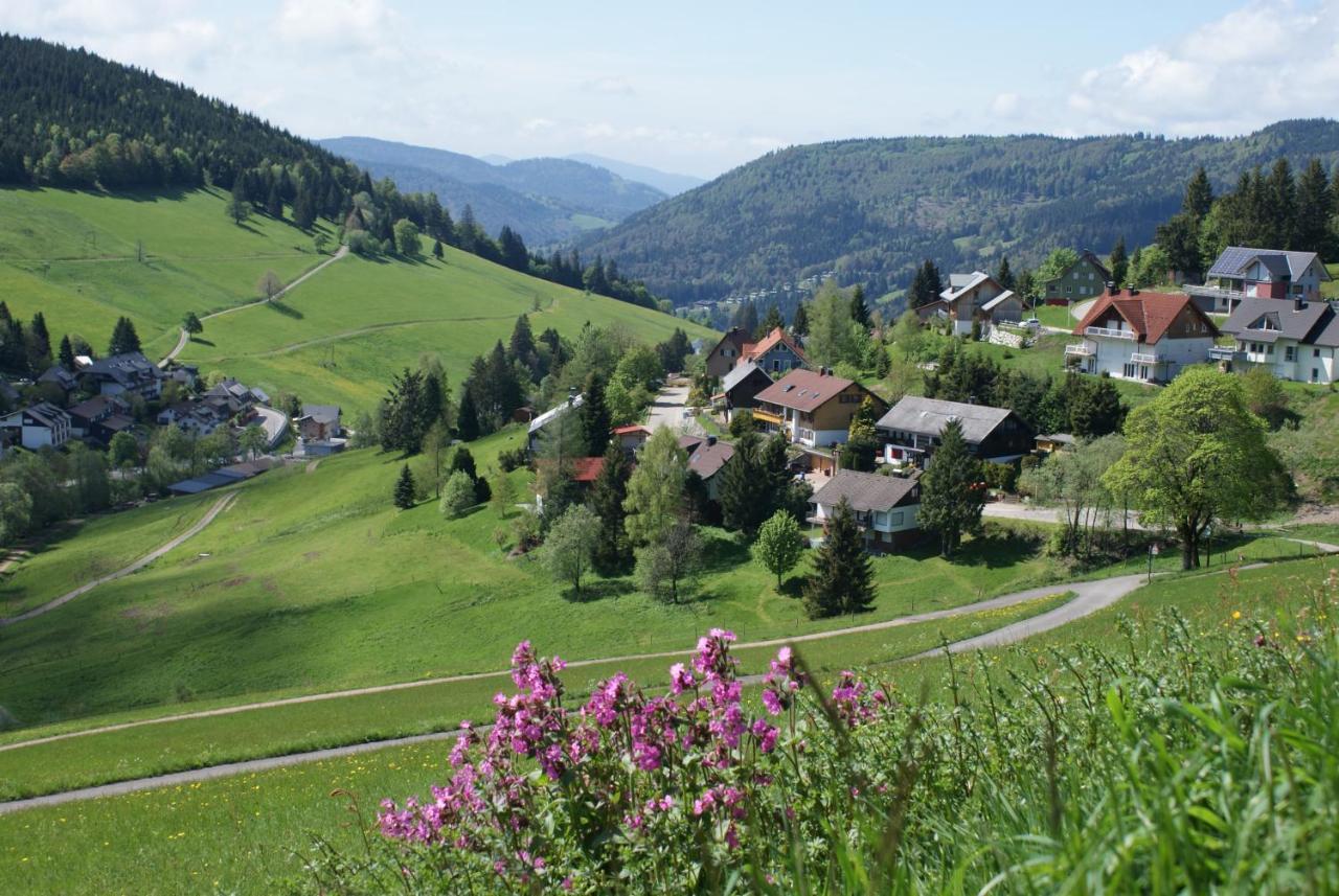 Schoene Aussicht Todtnau Eksteriør bilde