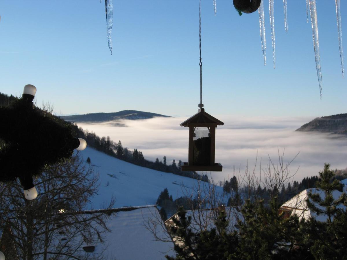 Schoene Aussicht Todtnau Eksteriør bilde