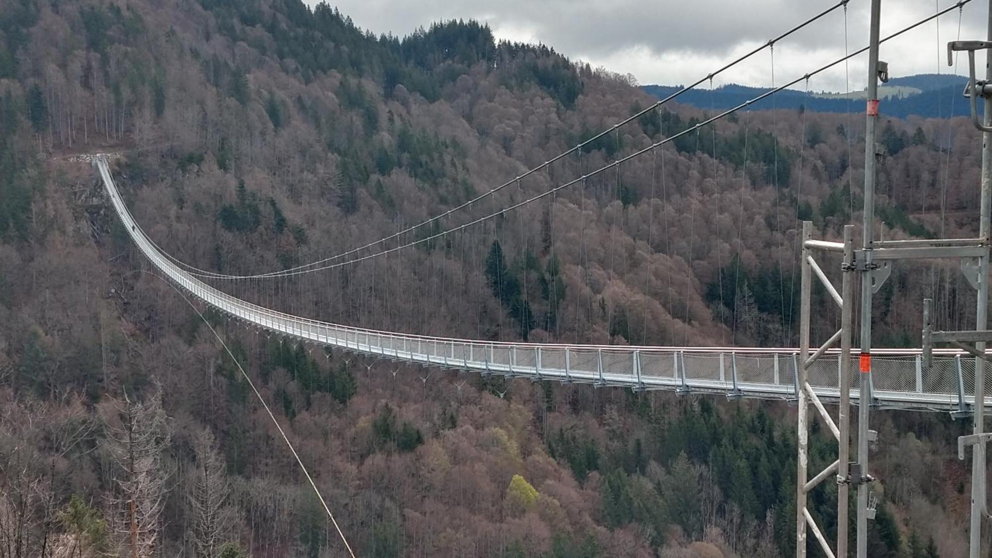 Schoene Aussicht Todtnau Eksteriør bilde